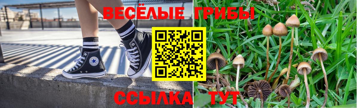 Галлюциногенные грибы Magic Shrooms Сердобск